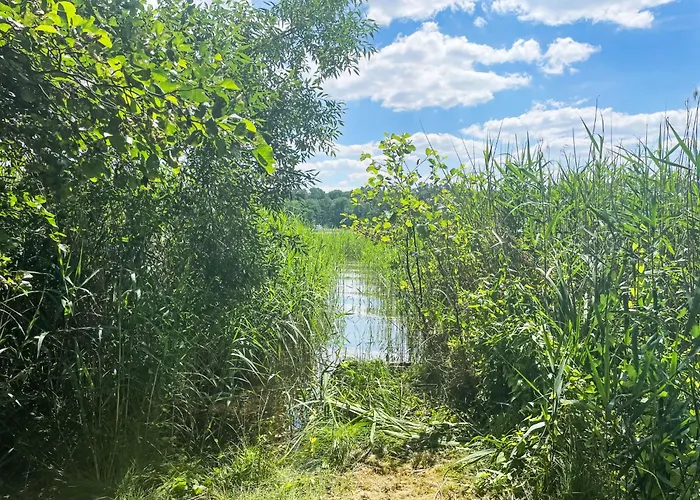 Am Paelitzsee By Interhome *