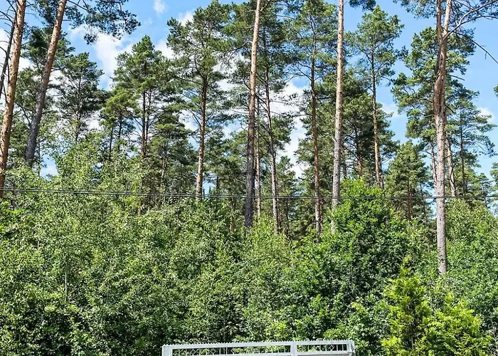 Am Paelitzsee By Interhome Grosszerlang